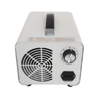 TY-STL-5G 220v 5g PM2.5 Filtr powietrza Generator ozonu Chłodzenie powietrzem